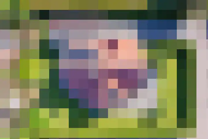 Vogelmient 39 De Koog thumbnail 34