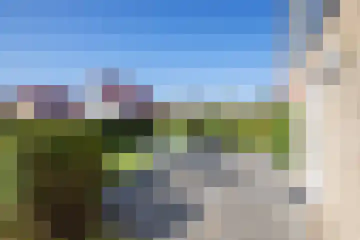 Vogelmient 39 De Koog thumbnail 35
