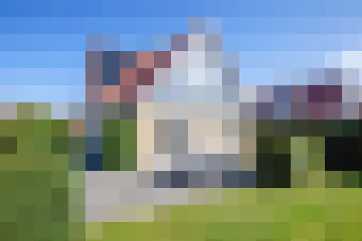 Vogelmient 39 De Koog thumbnail 36