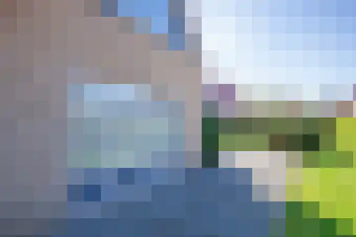 Vogelmient 39 De Koog thumbnail 37
