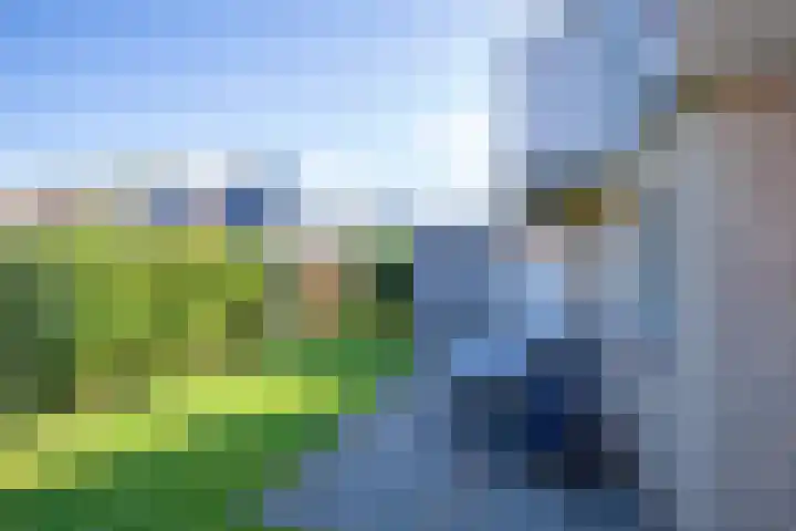 Vogelmient 39 De Koog thumbnail 38