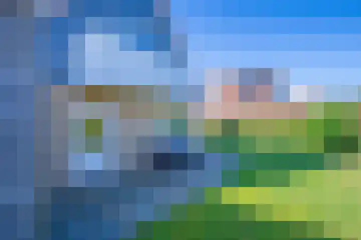 Vogelmient 39 De Koog thumbnail 39
