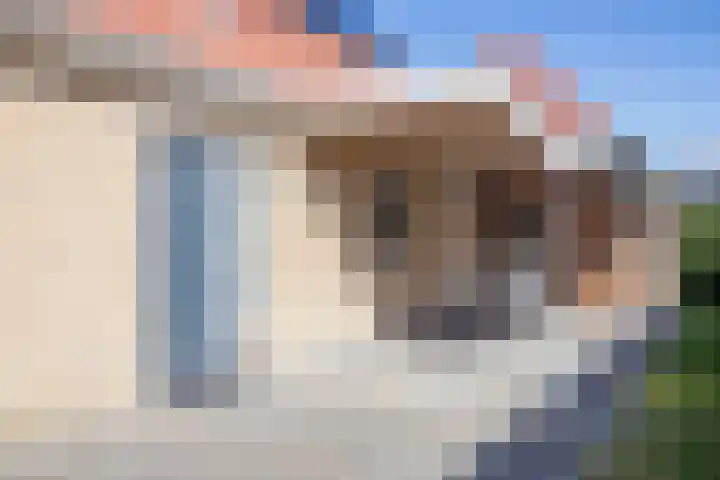 Vogelmient 39 De Koog thumbnail 41