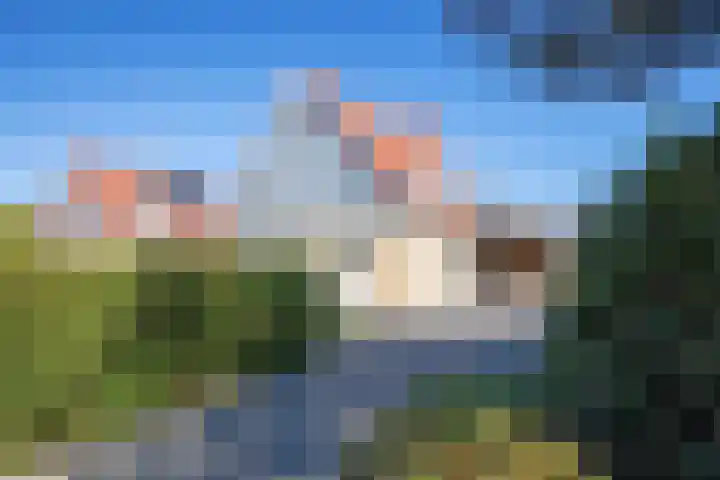 Vogelmient 39 De Koog thumbnail 42