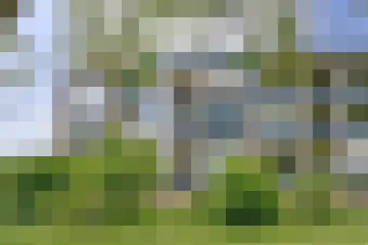 Vogelplantsoen 109 Dieren