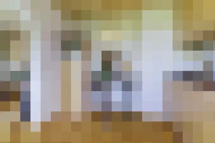 Vogelplantsoen 109 Dieren thumbnail 14