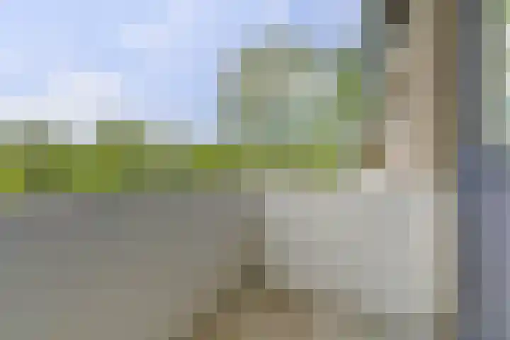 Vogelplantsoen 109 Dieren thumbnail 16