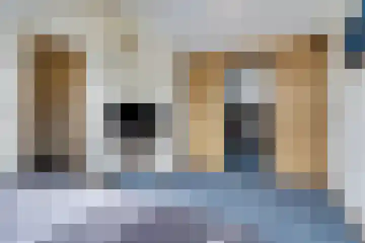 Vogelplantsoen 109 Dieren thumbnail 24