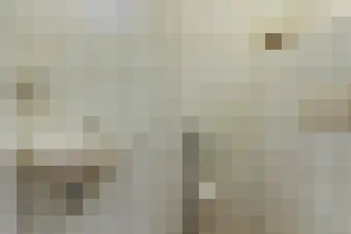 Vogelplantsoen 109 Dieren thumbnail 28