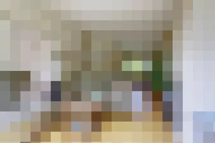 Vogelplantsoen 109 Dieren thumbnail 6
