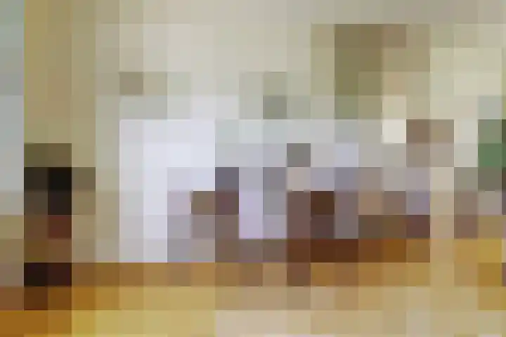 Vogelplantsoen 109 Dieren thumbnail 9