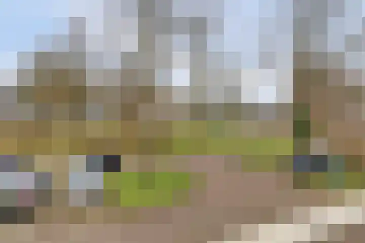 Vogelplantsoen 155 Dieren thumbnail 15