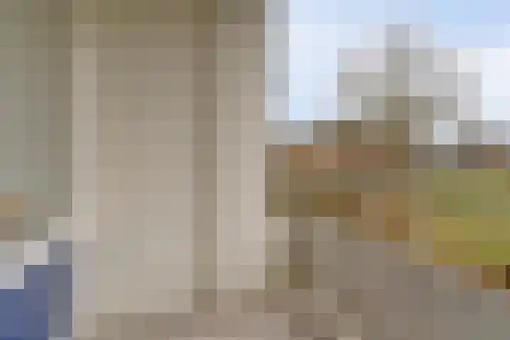 Vogelplantsoen 155 Dieren thumbnail 21