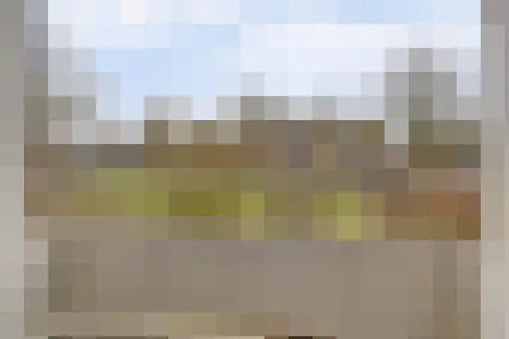 Vogelplantsoen 155 Dieren thumbnail 22