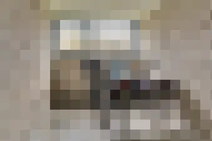 Vogelplantsoen 155 Dieren thumbnail 26