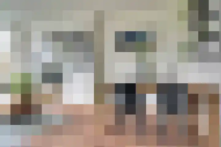 Vogelplantsoen 155 Dieren thumbnail 9