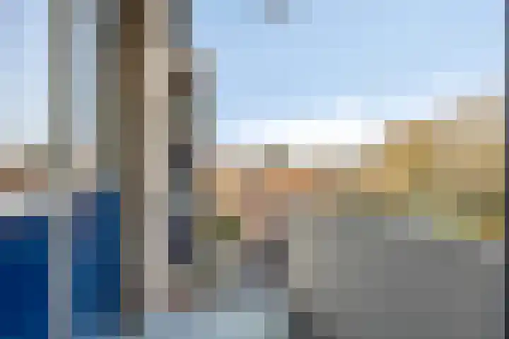 Vogelplantsoen 157 Dieren thumbnail 15