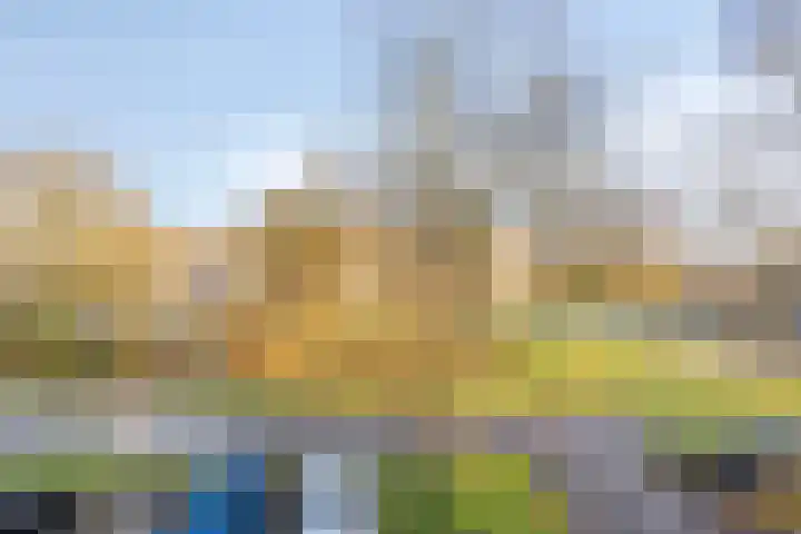 Vogelplantsoen 157 Dieren thumbnail 16