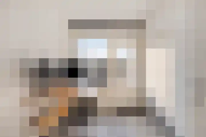 Vogelplantsoen 157 Dieren thumbnail 20
