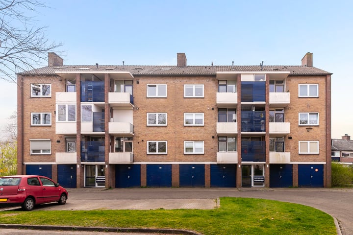 Vogelplantsoen 165 in Dieren foto