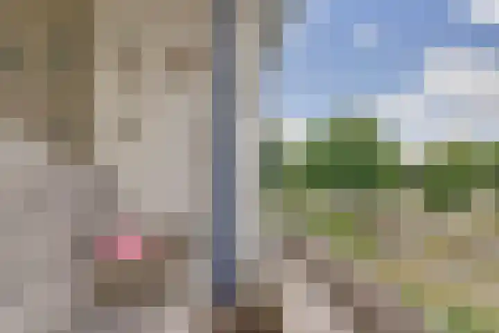 Vogelplantsoen 171 Dieren thumbnail 10