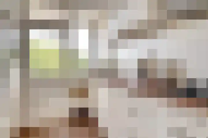 Vogelplantsoen 171 Dieren thumbnail 12
