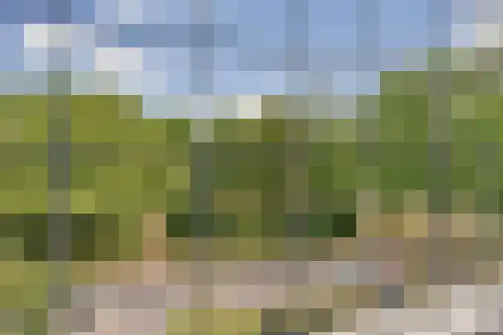 Vogelplantsoen 171 Dieren thumbnail 16