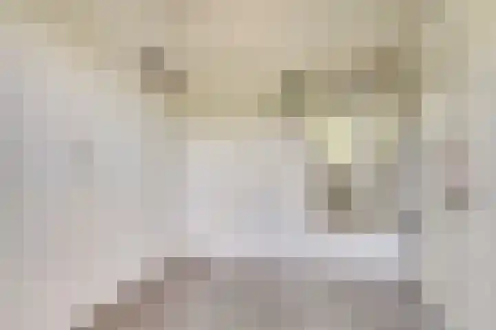 Vogelplantsoen 171 Dieren thumbnail 18