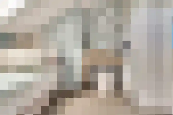Vogelplantsoen 171 Dieren thumbnail 23