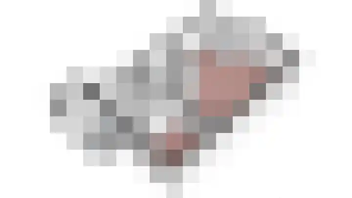 Vogelplantsoen 171 Dieren thumbnail 30