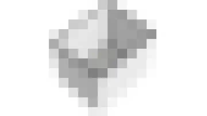 Vogelplantsoen 171 Dieren thumbnail 34