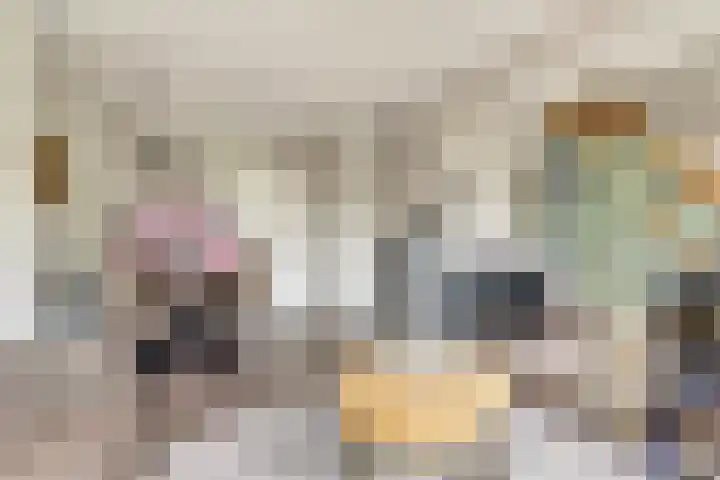 Vogelplantsoen 171 Dieren thumbnail 4