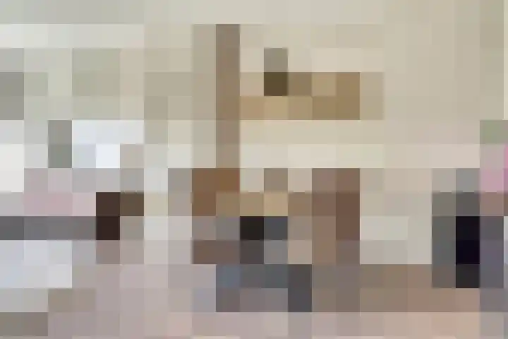 Vogelplantsoen 171 Dieren thumbnail 9