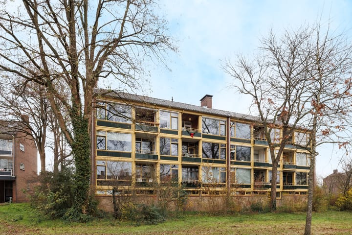 Vogelplantsoen 19 in Dieren foto