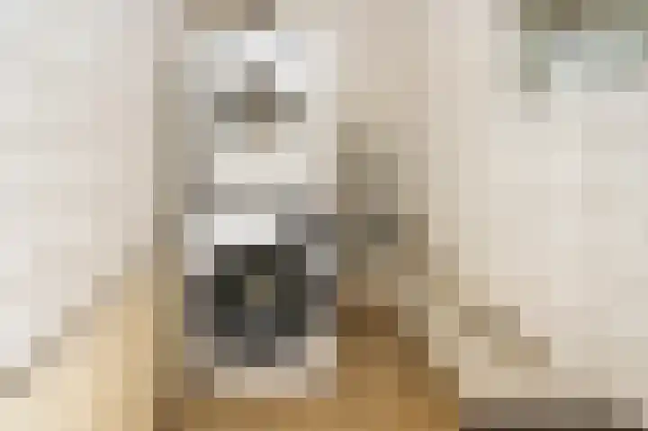 Vogelplantsoen 77 Dieren thumbnail 14