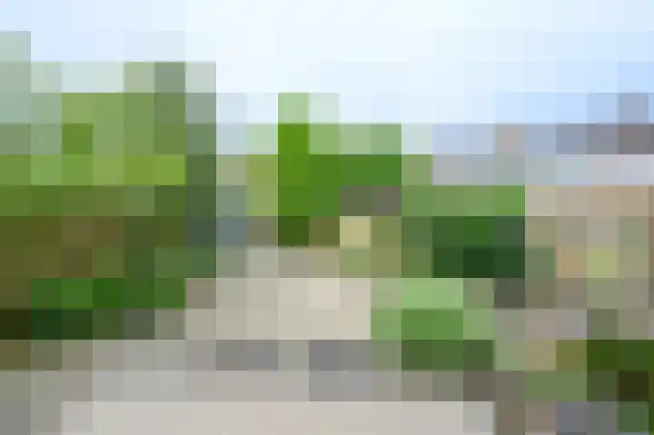Vogelplantsoen 77 Dieren thumbnail 20