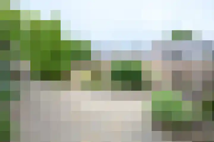 Vogelplantsoen 77 Dieren thumbnail 22