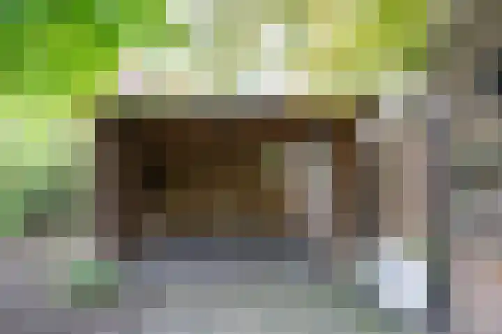 Vogelplantsoen 77 Dieren thumbnail 23