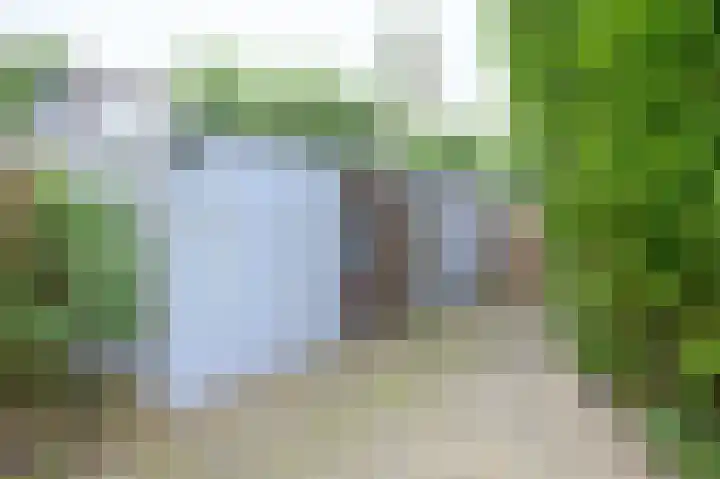 Vogelplantsoen 77 Dieren thumbnail 24