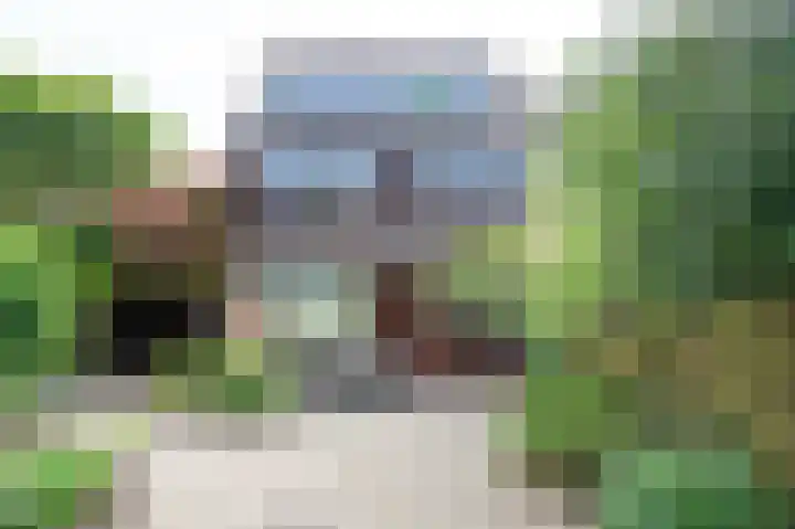 Vogelplantsoen 77 Dieren thumbnail 26