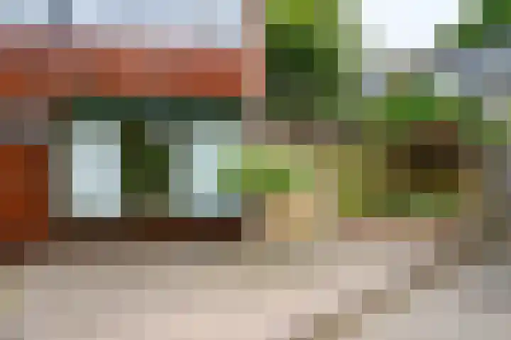 Vogelplantsoen 77 Dieren thumbnail 29