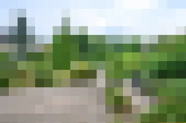 Vogelplantsoen 77 Dieren thumbnail 30