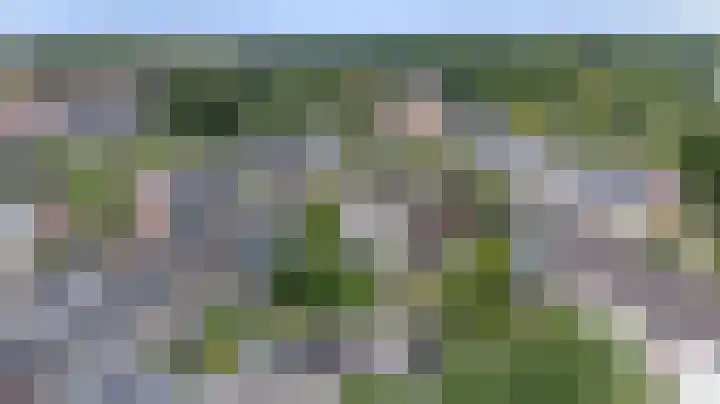 Vogelplantsoen 77 Dieren thumbnail 31