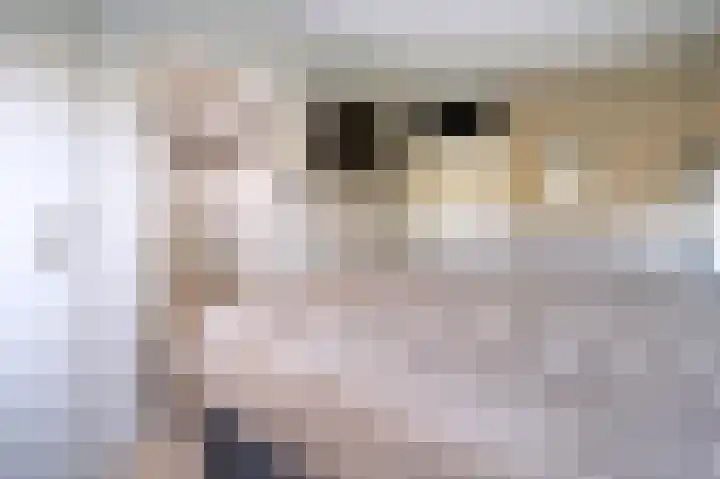 Vogelplantsoen 9 Dieren thumbnail 10