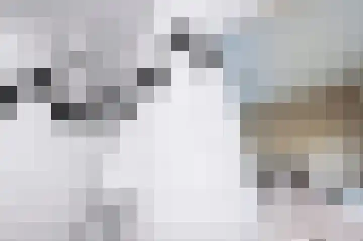 Vogelplantsoen 9 Dieren thumbnail 12