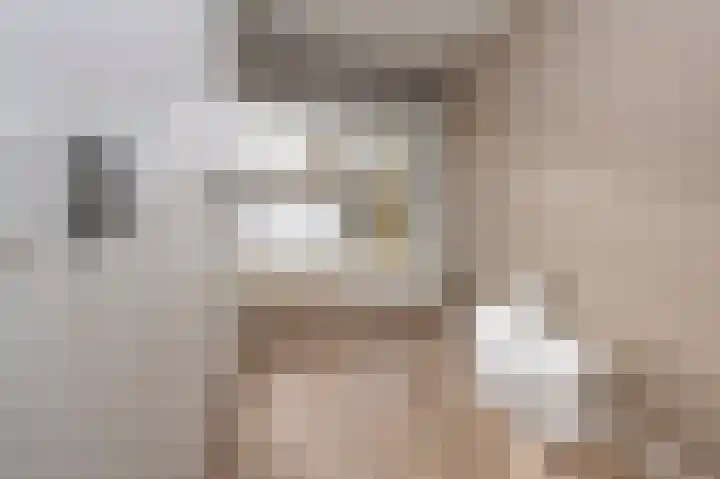 Vogelplantsoen 9 Dieren thumbnail 13