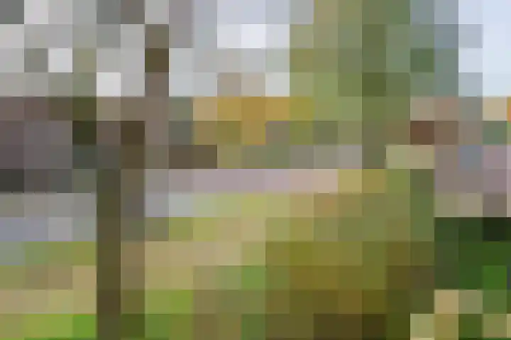 Vogelplantsoen 9 Dieren thumbnail 15