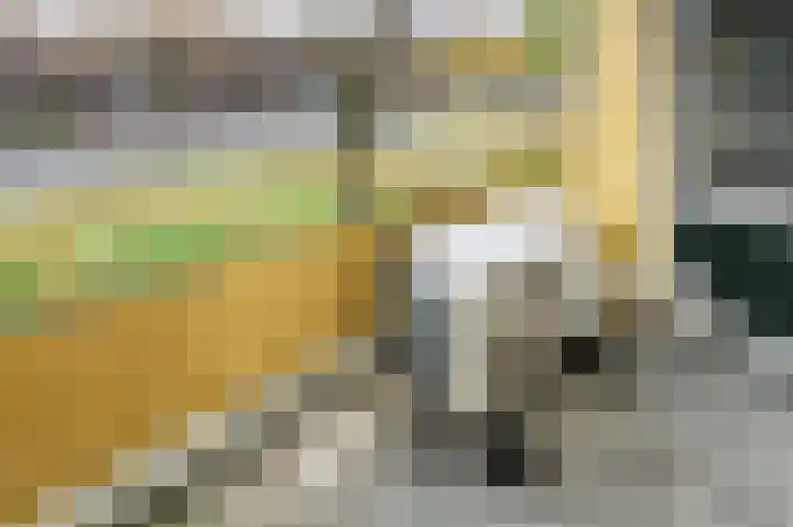 Vogelplantsoen 9 Dieren thumbnail 16