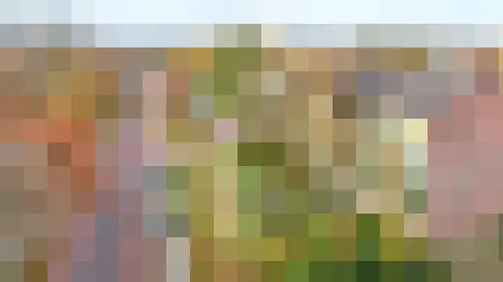 Vogelplantsoen 9 Dieren thumbnail 18