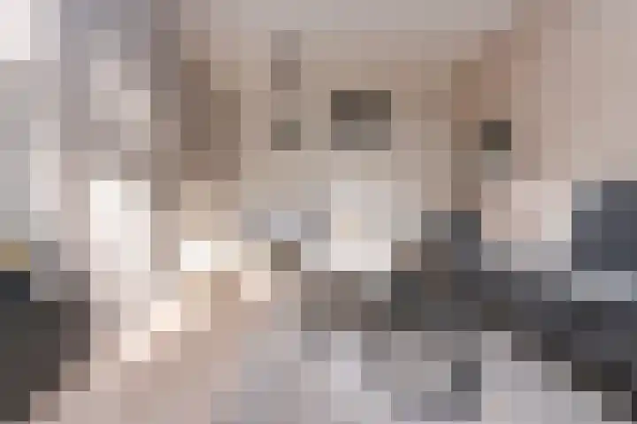 Vogelplantsoen 9 Dieren thumbnail 4